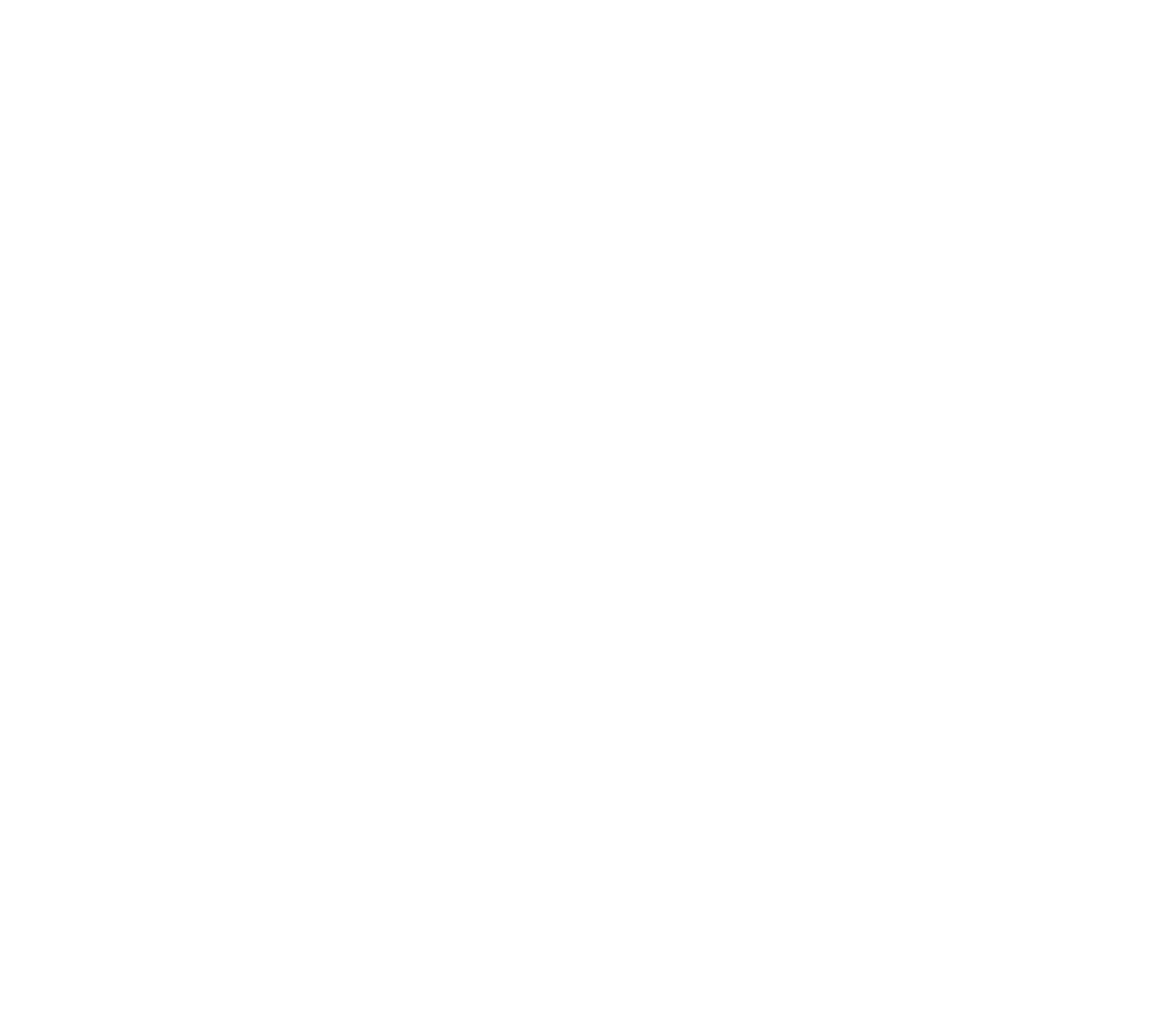 MK Vision